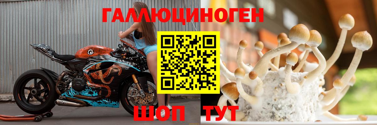 Псилоцибиновые грибы Magic Shrooms  Вход с VPN  Тверь 