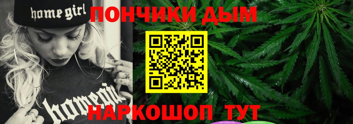 Бошки Шишки планчик Тверь